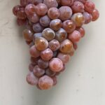 Clif Family Gewurztraminer Grapes