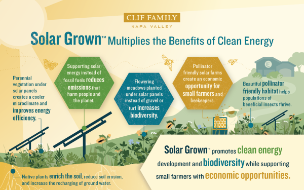 The Benefits of Solar Grown